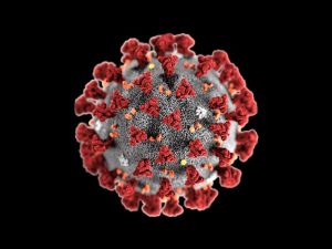 sars cov 19 corona virus