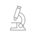 labs2